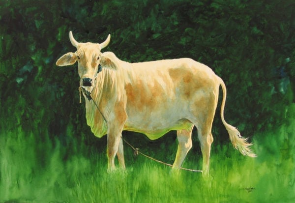 Watercolor painting of a bull by Chris Soentpiet