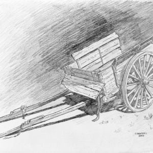 ox cart illustration